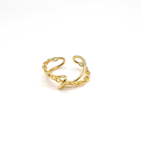 Double chain ring