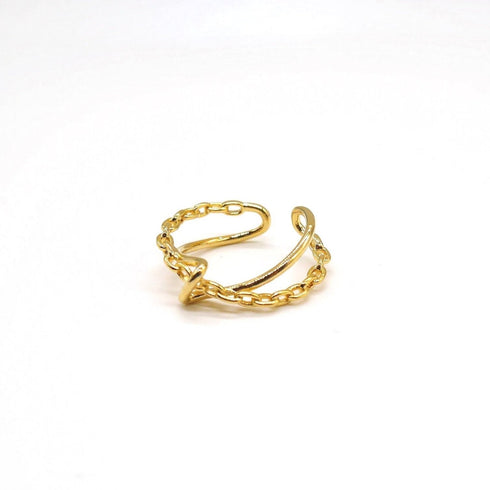 Double chain ring